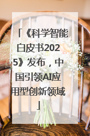 《科学智能白皮书2025》发布，中国引领AI应用型创新领域