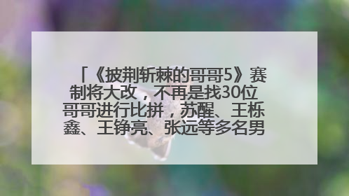 《披荆斩棘的哥哥5》赛制将大改，不再是找30位哥哥进行比拼，苏醒、王栎鑫、王铮亮、张远等多名男团选手被曝将参加