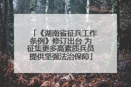 《湖南省征兵工作条例》修订出台 为征集更多高素质兵员提供坚强法治保障