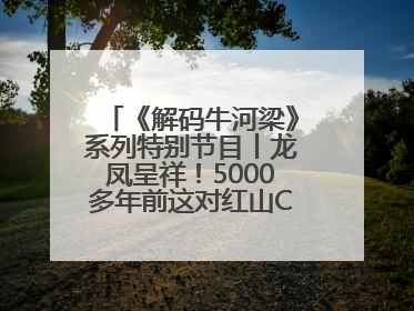 《解码牛河梁》系列特别节目丨龙凤呈祥！5000多年前这对红山CP竟这么好嗑