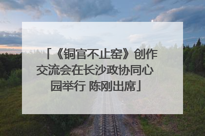 《铜官不止窑》创作交流会在长沙政协同心园举行 陈刚出席