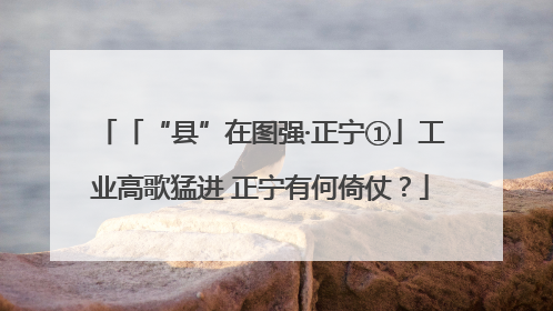 「“县”在图强·正宁①」工业高歌猛进 正宁有何倚仗？