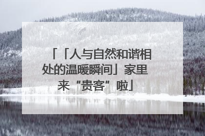 「人与自然和谐相处的温暖瞬间」家里来“贵客”啦