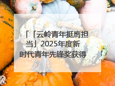 「云岭青年挺膺担当」2025年度新时代青年先锋奖获得者王敏奇——澜沧江上好渔人