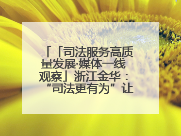 「司法服务高质量发展·媒体一线观察」浙江金华：“司法更有为”让“市场更有力”