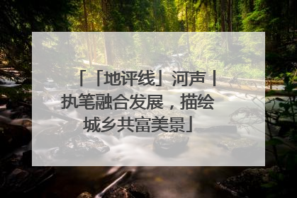 「地评线」河声丨执笔融合发展，描绘城乡共富美景