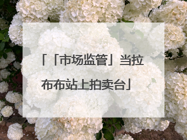 「市场监管」当拉布布站上拍卖台
