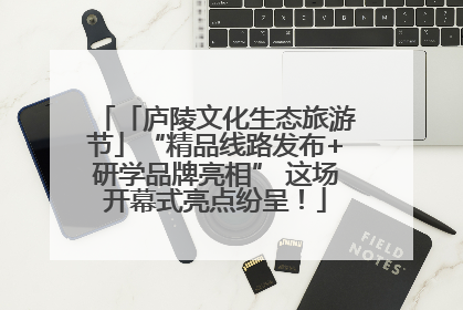 「庐陵文化生态旅游节」“精品线路发布+研学品牌亮相” 这场开幕式亮点纷呈！