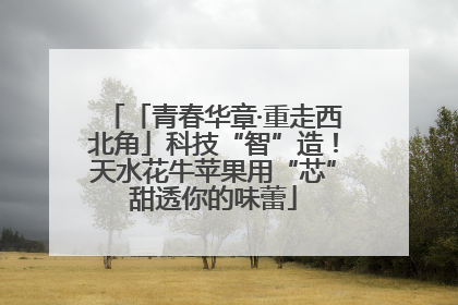 「青春华章·重走西北角」科技“智”造！天水花牛苹果用“芯”甜透你的味蕾