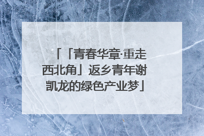 「青春华章·重走西北角」返乡青年谢凯龙的绿色产业梦