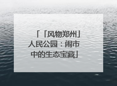 「风物郑州」人民公园：闹市中的生态宝藏