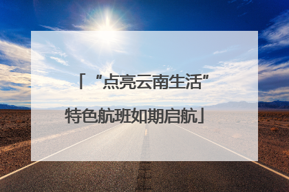 “点亮云南生活”特色航班如期启航