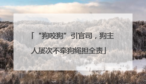 “狗咬狗”引官司，狗主人屡次不牵狗绳担全责