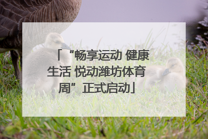 “畅享运动 健康生活 悦动潍坊体育周”正式启动