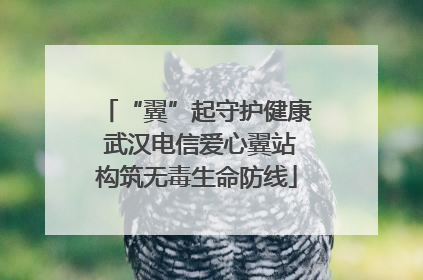 “翼”起守护健康 武汉电信爱心翼站构筑无毒生命防线