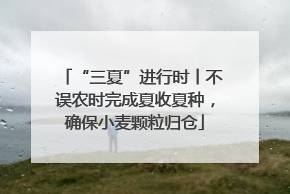 “三夏”进行时丨不误农时完成夏收夏种，确保小麦颗粒归仓