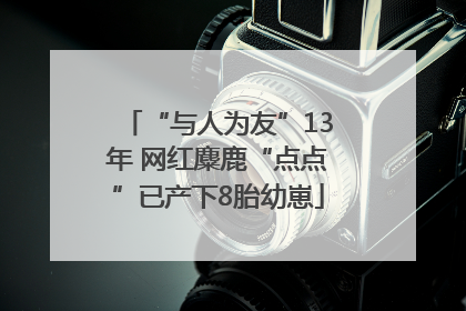 “与人为友”13年 网红麋鹿“点点”已产下8胎幼崽