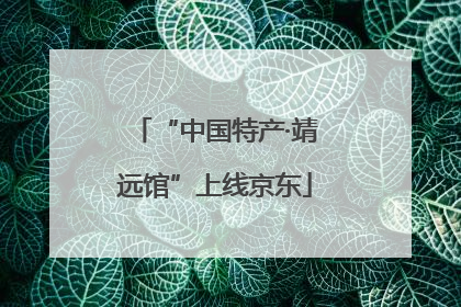 “中国特产·靖远馆”上线京东