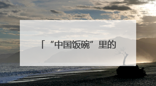 “中国饭碗”里的农机力量——“打赢这一战 底气从何来”系列观察之三