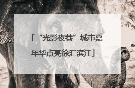 “光影夜巷”城市嘉年华点亮徐汇滨江