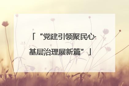 “党建引领聚民心·基层治理展新篇”