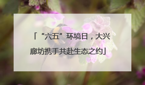 “六五”环境日，大兴廊坊携手共赴生态之约