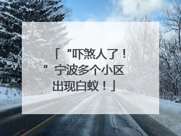 “吓煞人了！”宁波多个小区出现白蚁！