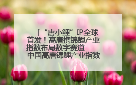 “唐小鲤”IP全球首发！高唐携锦鲤产业指数布局数字赛道——中国高唐锦鲤产业指数暨“唐小鲤”IP全球首发仪式在杭州举行