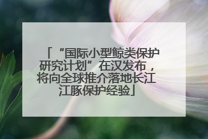 “国际小型鲸类保护研究计划”在汉发布，将向全球推介落地长江江豚保护经验
