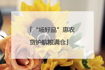 “场好品”惠农贷护航粮满仓