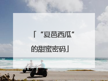 “夏邑西瓜”的甜蜜密码