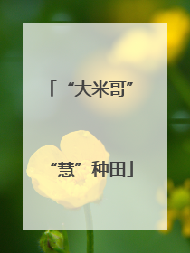 “大米哥”“慧”种田