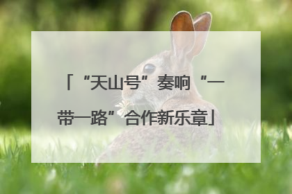 “天山号”奏响“一带一路”合作新乐章