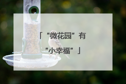 “微花园”有“小幸福”