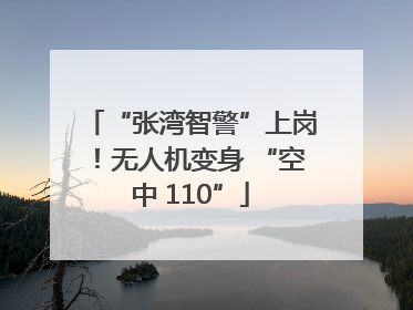 “张湾智警”上岗！无人机变身 “空中 110”