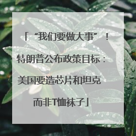 “我们要做大事”！特朗普公布政策目标：美国要造芯片和坦克 而非T恤袜子