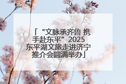 “文脉承齐鲁 携手赴东平”2025东平湖文旅走进济宁推介会圆满举办