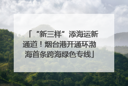 “新三样”添海运新通道！烟台港开通环渤海首条跨海绿色专线