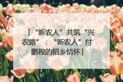“新农人”共筑“兴农路”：“新农人”付鹏程的稻乡情怀