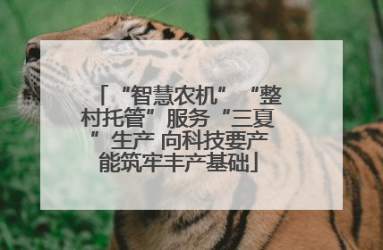 “智慧农机”“整村托管”服务“三夏”生产 向科技要产能筑牢丰产基础