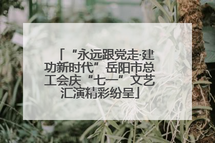 “永远跟党走·建功新时代”岳阳市总工会庆“七一”文艺汇演精彩纷呈
