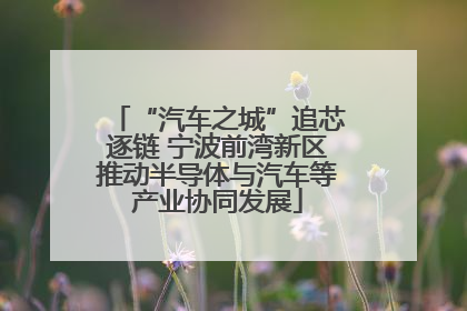 “汽车之城”追芯逐链 宁波前湾新区推动半导体与汽车等产业协同发展