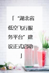 “湖北省低空飞行服务平台”建设正式启动