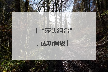 “莎头组合”，成功晋级