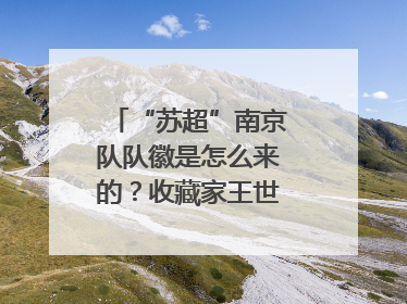 “苏超”南京队队徽是怎么来的？收藏家王世清细说源头