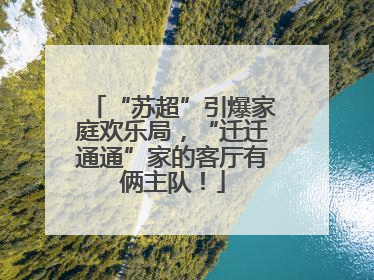 “苏超”引爆家庭欢乐局，“迁迁通通”家的客厅有俩主队！