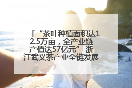 “茶叶种植面积达12.5万亩，全产业链产值达57亿元” 浙江武义茶产业全链发展“加速度”