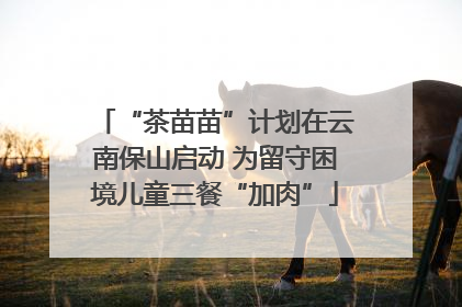 “茶苗苗”计划在云南保山启动 为留守困境儿童三餐“加肉”