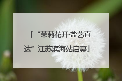“茉莉花开·盐艺直达”江苏滨海站启幕