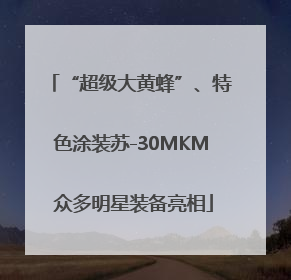 “超级大黄蜂”、特色涂装苏-30MKM 众多明星装备亮相